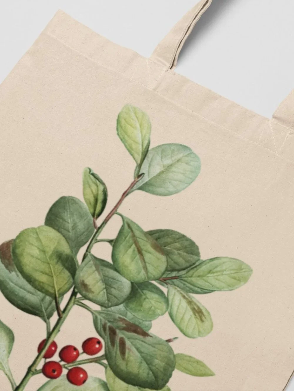 Houx De Madère Vintage Botanical Print Graphic Canvas Tote Bag